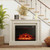 23 Inch Electric Fireplace Insert Fireplace Heater With Adjustable Flame Color FP10800US By CW