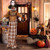 Halloween Animatronic Haunted Woman With Pop Up Head And Control Button Cm24797 By Cw