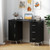 Wooden Manicure Table Nail Desk With Drawers Wrist Rest-Black HB88758BK By CW