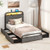 Twin Full Queen Size Bed Frame With Led Lights And Charging Station Twin Size Hu10931Dk T By Cw
