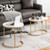 Modern Nesting Coffee Table Set Of 2 White Jv10381Wh By Cw