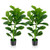 2-Pack Artificial Fiddle Leaf Fig Tree HZ10103-2 By CW