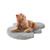 Olliix Friends Forever Puprug Faux Fur Orthopedic Dog Bed With Foam Pup Faux Fur Rug With Removable Bed Cover Pet63Hm6012