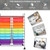 Multipurpose 20 Drawers Storage Rolling Cart Studio Organizer-Multicolor HW56501MT By CW