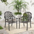 2 Pieces Patio Cast Aluminum Dining Chairs With Armrests Bronze Np11298Cp 2 By Cw