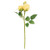 Blooming Soft Yellow Roses Pick 17 Fhj092507 By Cwi Gifts