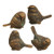 Mini Bronze Finish Resin Bird 4 Assorted Gt25372 By Cwi Gifts Mini Bronze Finish Resin Bird 4 Assorted Gt25372 By Cwi Gifts