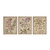 Madison Park Linen Botanicals Printed Linen Canvas Set Of 3 Mp95C 0037 By Olliix