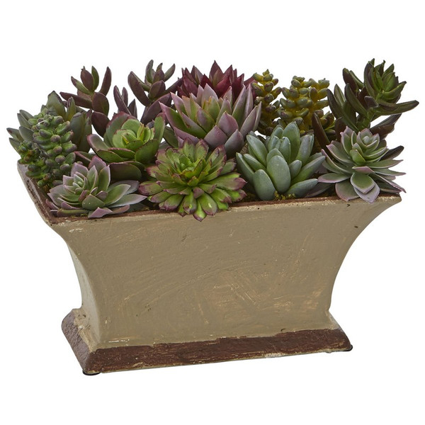 6 5 Mixed Succulent Plant In Vase 4179 By Nearly Natural