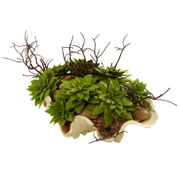 Succulent Garden W Seashell 4851 By Nearly Natural