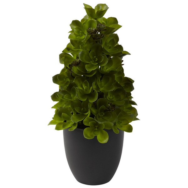 15 Echeveria Cone Topiary 4964 By Nearly Natural