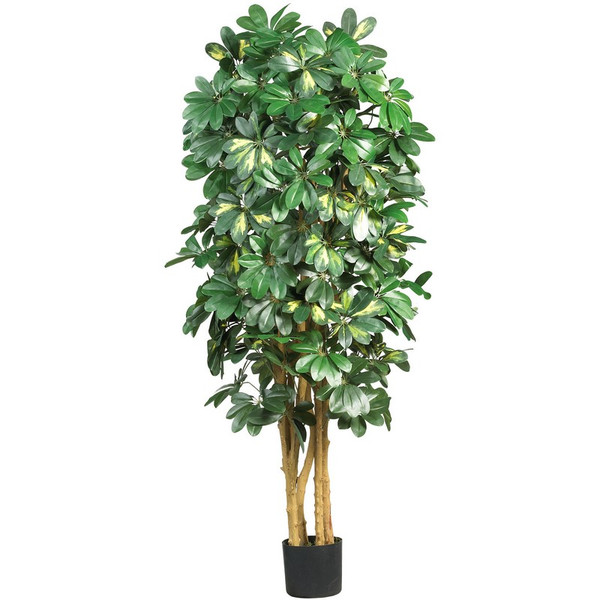 5 Schefflera Tree W 1116 Lvs 5202 By Nearly Natural