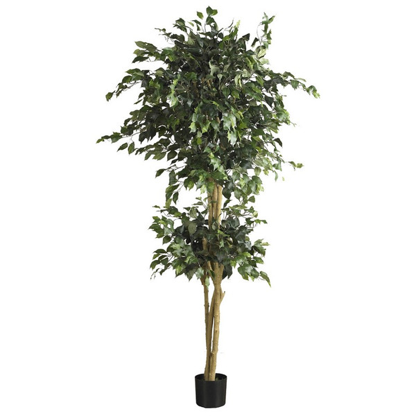 6 Double Ball Ficus Tree W 1596 5268 By Nearly Natural