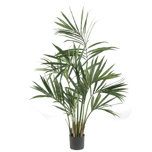 5 Kentia Palm Tree X 7 W 124 Lvs 5307 By Nearly Natural