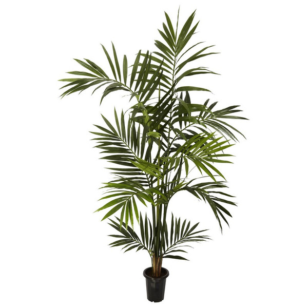 6 Kentia Palm Tree X 10 Fronds 5334 By Nearly Natural
