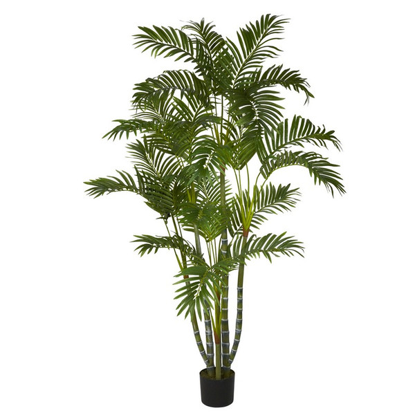 5 Biggy Style Areca Tree W 840 Lvs 5344 By Nearly Natural