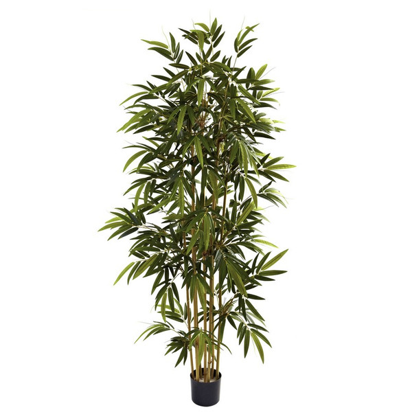 6 Bamboo Tree X 7 W 1024 Lvs 5362 By Nearly Natural
