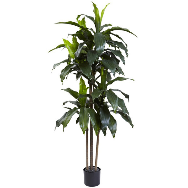 5 Dracaena Plant W 58 Lvs Uv Resistant Indoor Outdoor 5446 By Nearly Natural