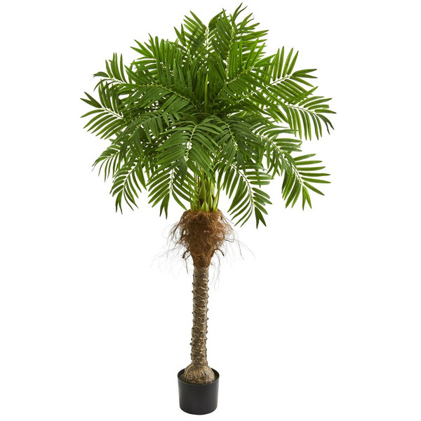 5 5 Robellini Palm Artificial Tree 5541 By Nearly Natural
