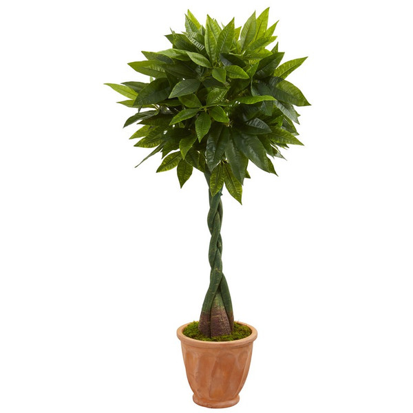 5 Money Artificial Tree In Terracotta Planter Real Touch 5725 By Nearly Natural