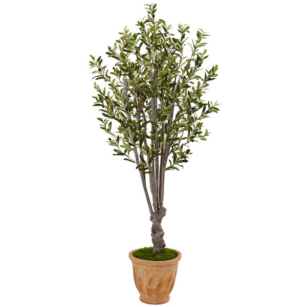 5 Olive Tree In Terracotta Planter 5853 By Nearly Natural