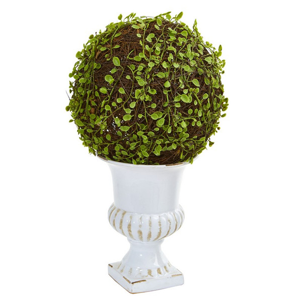 18 Mohlenbechia Ball Topiary In White Urn 6471 By Nearly Natural
