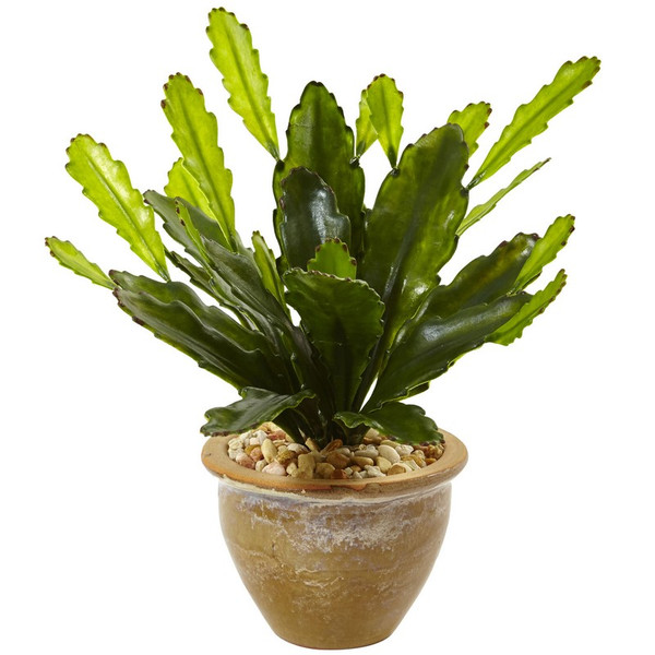 13 Double Cactus In Glazed Clay Pot 6926 By Nearly Natural