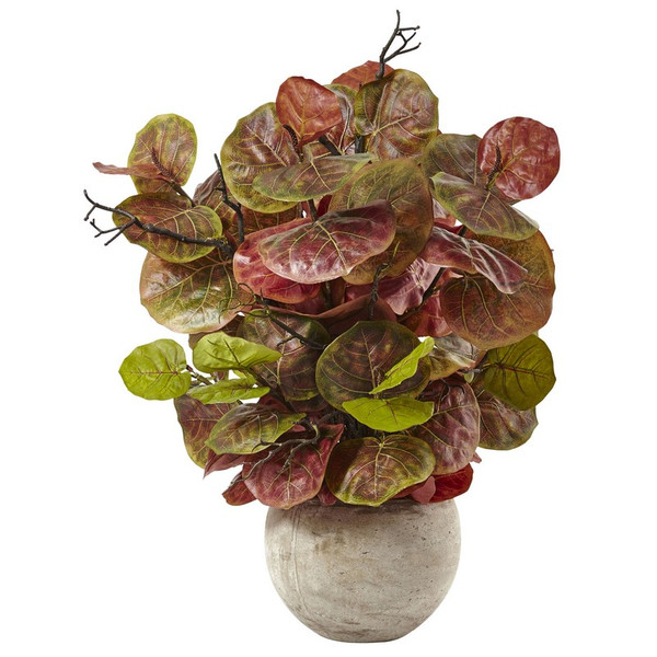 36 Seagrape Plant In Sand Colored Bowl 6928 By Nearly Natural