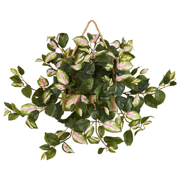 24 Hoya Artificial Plant In Decorative Hanging Frame 8373 By Nearly Natural
