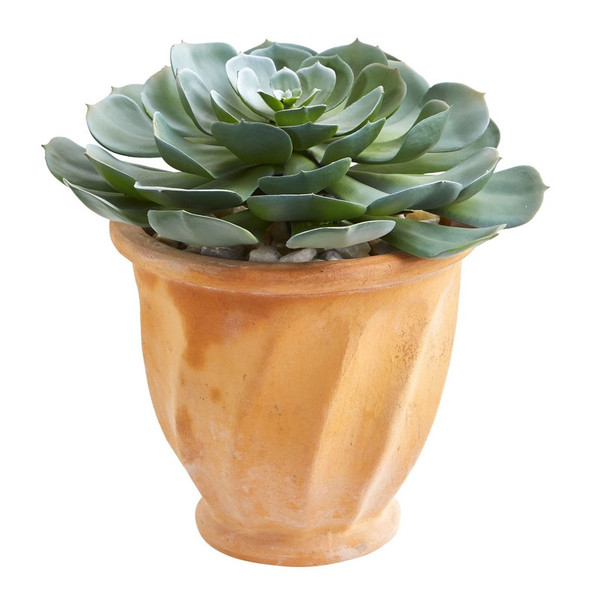 13 Giant Echeveria Succulent Plant In Terra Cotta Planter 8475 By Nearly Natural
