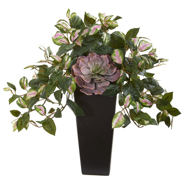 22 Echeveria Succulent And Hoya Plant In Black Vase 8496 By Nearly Natural