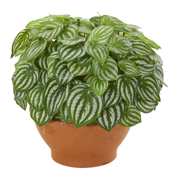 12 Watermelon Peperomia Plant In Clay Planter Real Touch 8523 By Nearly Natural