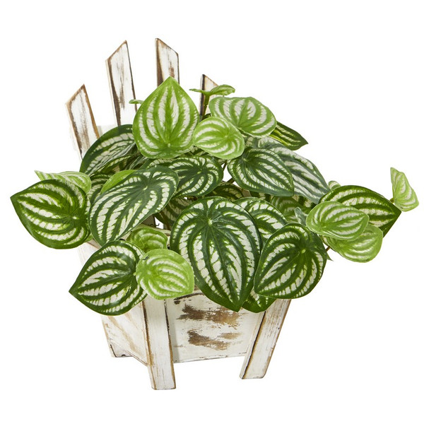 8 Watermelon Peperomia Plant In Chair Planter Real Touch 8868 By Nearly Natural