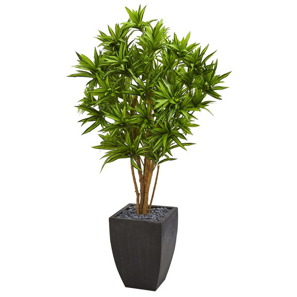 5 Dracaena Artificial Tree In Black Planter 9050 By Nearly Natural