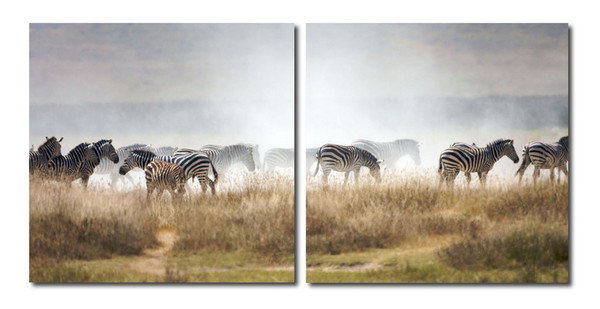 Baxton Studio A Zeal Of Zebras Mounted Photography Print Diptych Vc 2056Ab By Wholesale Interiors