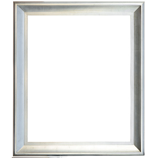 The Sterling Frame 48X60 Silver With Champagne Wash 11161053 By AFD