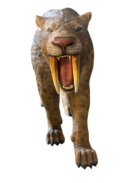 Saber Toothed Tiger Lifesize Statue 12014026 By AFD