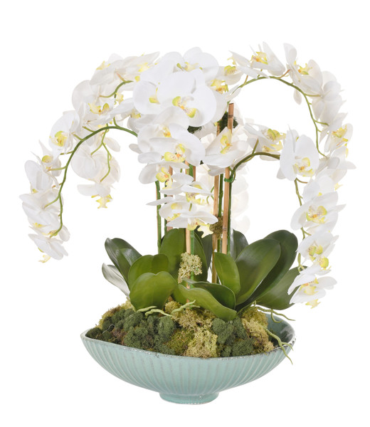 Orchid Arrangement #8 12023847 By AFD