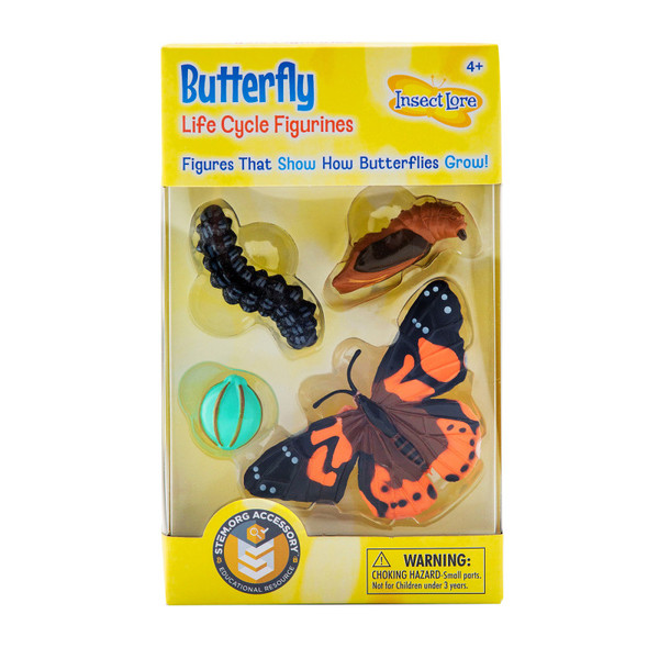 Insect Butterfly Life Cycle Stages ILP4760