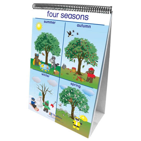 Newpath Early Childhood Science Readiness Flip Charts, Weather & Sky NP-340024