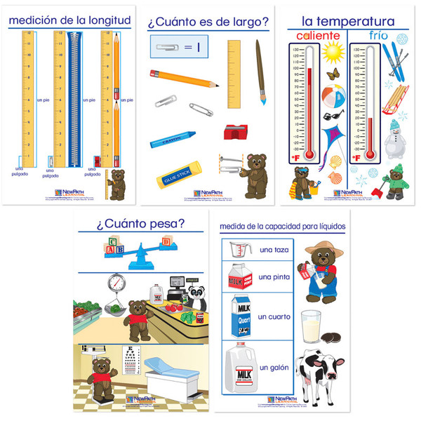 Newpath Measurement Bulletin Board Charts, Set Of 5, Spanish Edition NP-930328