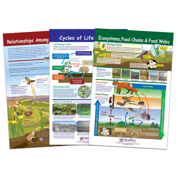 Newpath Ecology Bulletin Board Chart Set, Grades 3-5 NP-947007