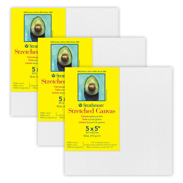 Strathmore 300 Series Gallery Stretched Canvas, 5X5 Inch, Pack Of 3 STT31405-3