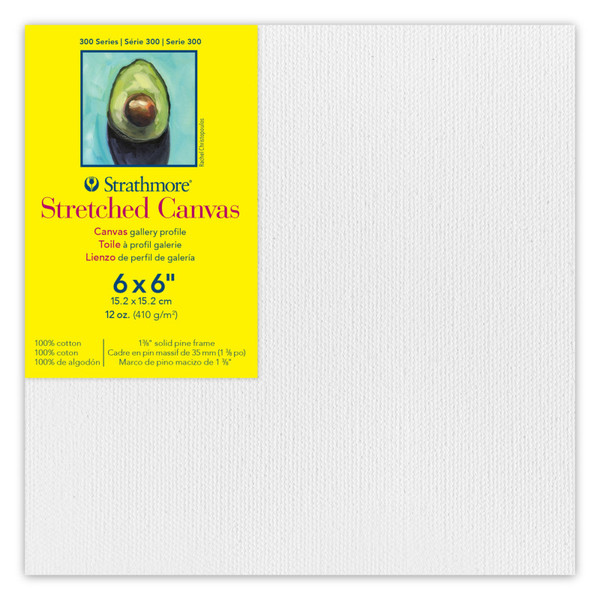Strathmore 300 Series Gallery Stretched Canvas, 6X6 Inch STT31406