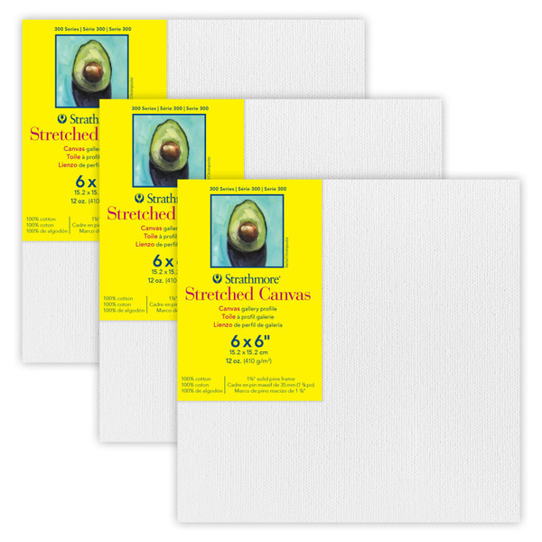 Strathmore 300 Series Gallery Stretched Canvas, 6X6 Inch, Pack Of 3 STT31406-3