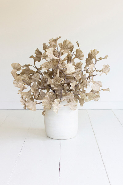 Botanica 3558 Pack Of 6 Clx3558 By Kalalou