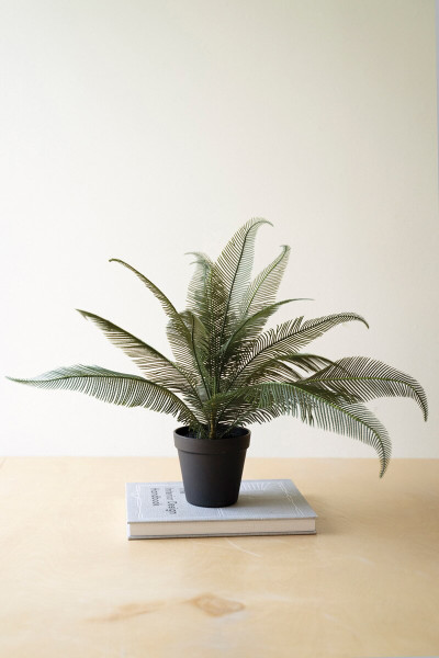 Artificial Phoenix Plant In A Black Plastic Pot Pack Of 4 Cyf1498 By Kalalou