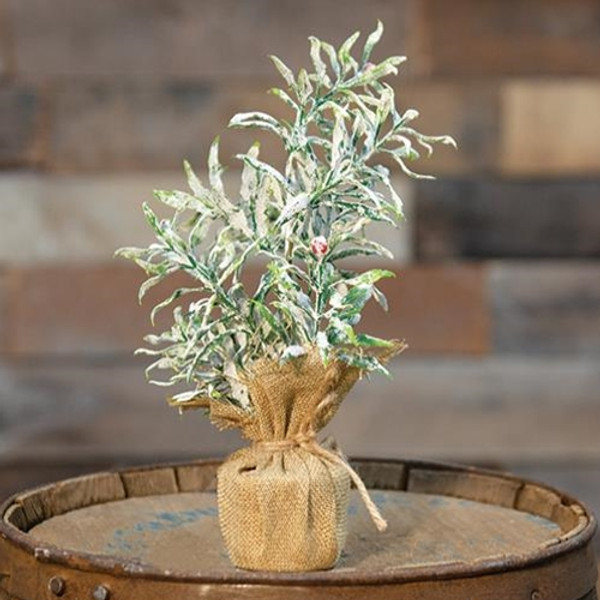Frosty Herb Tree 10 Fxra1279 By Cwi Gifts