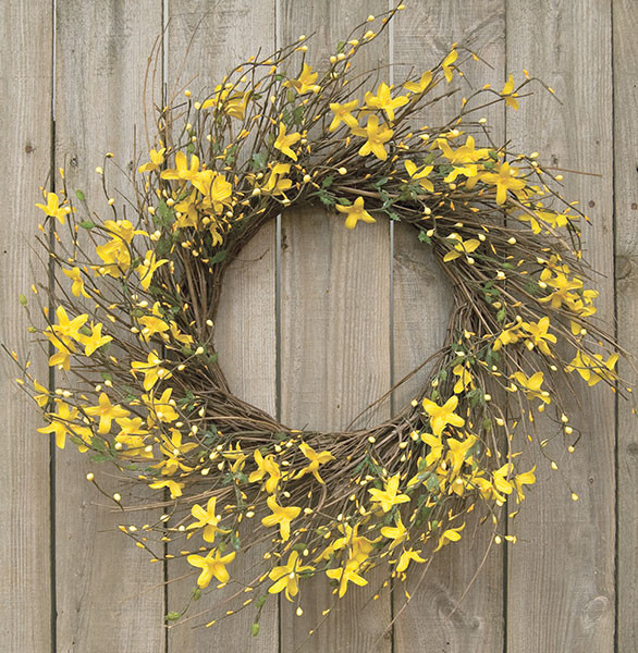 Cwi Star Forsythia Wreath 20 Fisb12210