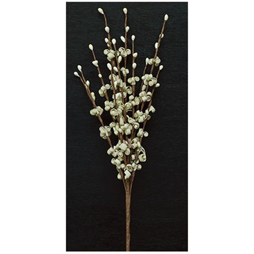 Cwi Curly Q Pick Cream Fisb33004